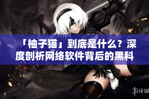 「柚子貓」到底是什么？深度剖析網絡軟件背后的黑科技！