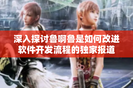 深入探討魯啊魯是如何改進(jìn)軟件開(kāi)發(fā)流程的獨(dú)家報(bào)道