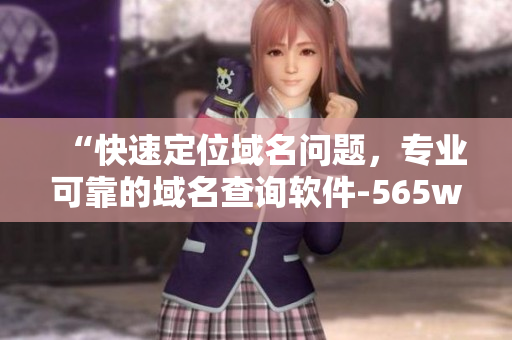 “快速定位域名問題，專業(yè)可靠的域名查詢軟件-565wcc”