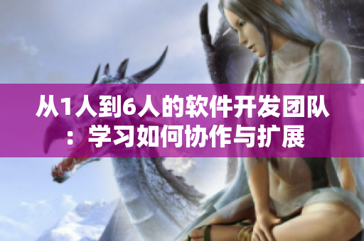 從1人到6人的軟件開(kāi)發(fā)團(tuán)隊(duì)：學(xué)習(xí)如何協(xié)作與擴(kuò)展