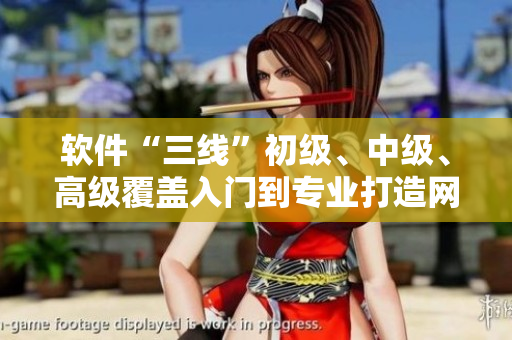 軟件“三線”初級、中級、高級覆蓋入門到專業(yè)打造網(wǎng)絡(luò)軟件全指南