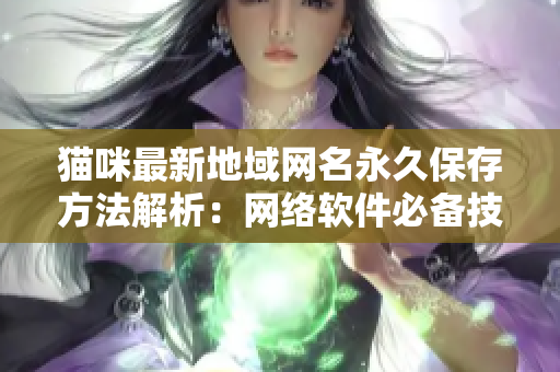 貓咪最新地域網(wǎng)名永久保存方法解析：網(wǎng)絡軟件必備技巧指南