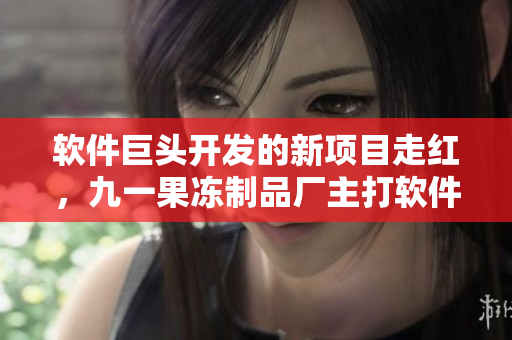 軟件巨頭開發(fā)的新項(xiàng)目走紅，九一果凍制品廠主打軟件行業(yè)電視劇《紅桃》