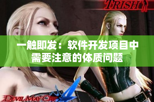 一觸即發(fā)：軟件開發(fā)項(xiàng)目中需要注意的體質(zhì)問題