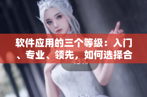 軟件應(yīng)用的三個等級：入門、專業(yè)、領(lǐng)先，如何選擇合適的軟件等級
