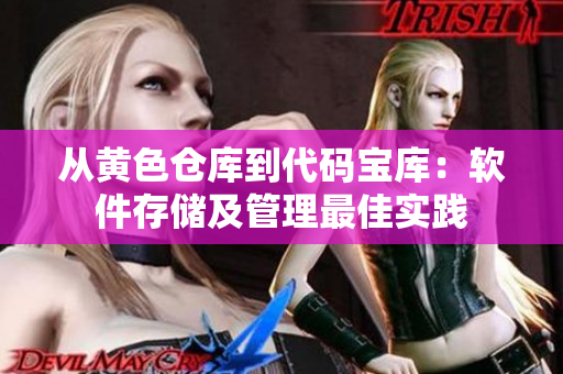 從黃色倉庫到代碼寶庫：軟件存儲及管理最佳實踐