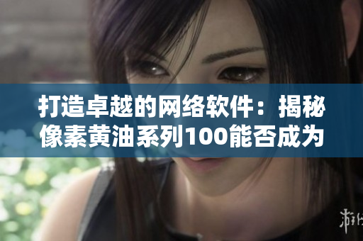 打造卓越的網(wǎng)絡軟件：揭秘像素黃油系列100能否成為開發(fā)利器？