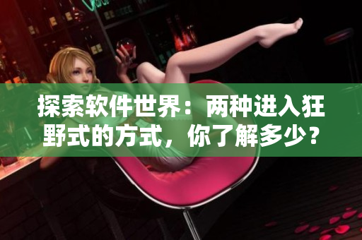 探索軟件世界：兩種進入狂野式的方式，你了解多少？