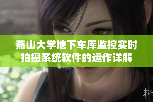 燕山大學(xué)地下車(chē)庫(kù)監(jiān)控實(shí)時(shí)拍攝系統(tǒng)軟件的運(yùn)作詳解