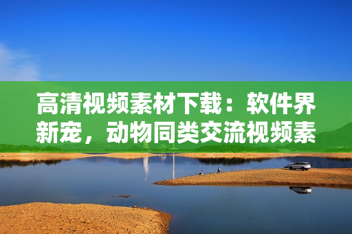 高清視頻素材下載：軟件界新寵，動(dòng)物同類交流視頻素材免費(fèi)獲取