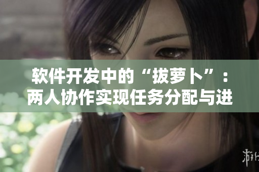 軟件開發(fā)中的“拔蘿卜”：兩人協(xié)作實現(xiàn)任務(wù)分配與進度管理