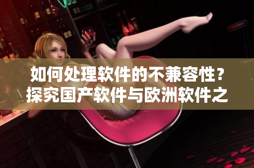 如何處理軟件的不兼容性？探究國(guó)產(chǎn)軟件與歐洲軟件之間的差異與解決方法