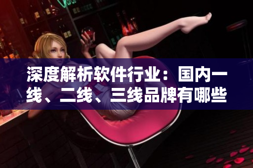 深度解析軟件行業(yè)：國內(nèi)一線、二線、三線品牌有哪些？