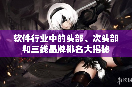 軟件行業(yè)中的頭部、次頭部和三線品牌排名大揭秘
