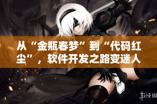從“金瓶春夢”到“代碼紅塵”，軟件開發(fā)之路變迷人。