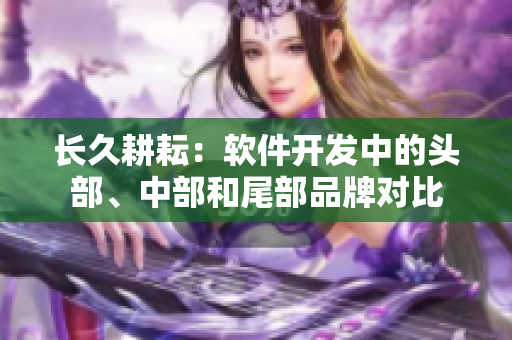 長久耕耘：軟件開發(fā)中的頭部、中部和尾部品牌對(duì)比