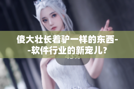傻大壯長著驢一樣的東西--軟件行業(yè)的新寵兒？