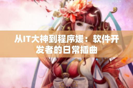 從IT大神到程序媛：軟件開發(fā)者的日常插曲