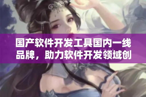 國產(chǎn)軟件開發(fā)工具國內(nèi)一線品牌，助力軟件開發(fā)領(lǐng)域創(chuàng)新