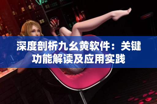 深度剖析九幺黃軟件：關(guān)鍵功能解讀及應(yīng)用實踐