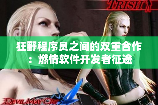狂野程序員之間的雙重合作：燃情軟件開(kāi)發(fā)者征途
