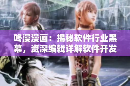咚漫漫畫：揭秘軟件行業(yè)黑幕，資深編輯詳解軟件開發(fā)攻略！