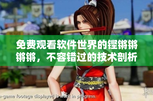 免費觀看軟件世界的鏗鏘鏘鏘鏘，不容錯過的技術(shù)剖析！