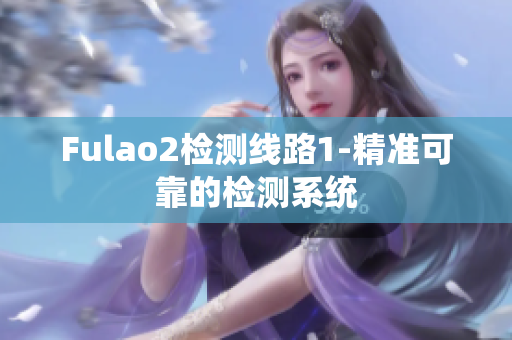 Fulao2檢測(cè)線路1-精準(zhǔn)可靠的檢測(cè)系統(tǒng)