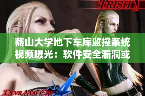 燕山大學地下車庫監(jiān)控系統(tǒng)視頻曝光：軟件安全漏洞或引發(fā)重大隱私風險