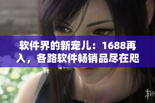 軟件界的新寵兒：1688再入，各路軟件暢銷品盡在咫尺！