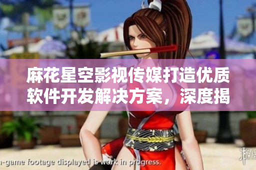 麻花星空影視傳媒打造優(yōu)質(zhì)軟件開發(fā)解決方案，深度揭秘軟件開發(fā)過程。