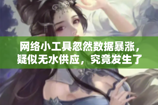 網(wǎng)絡(luò)小工具忽然數(shù)據(jù)暴漲，疑似無水供應(yīng)，究竟發(fā)生了什么？