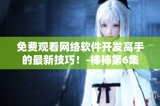 免費(fèi)觀(guān)看網(wǎng)絡(luò)軟件開(kāi)發(fā)高手的最新技巧！-棒棒第6集
