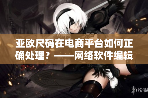 亞歐尺碼在電商平臺如何正確處理？——網(wǎng)絡(luò)軟件編輯解析