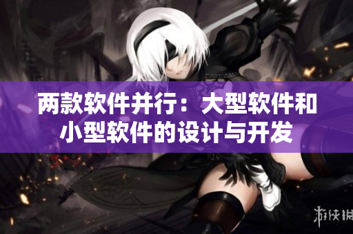 兩款軟件并行：大型軟件和小型軟件的設(shè)計(jì)與開發(fā)