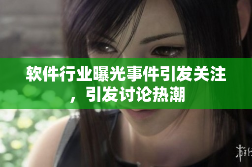 軟件行業(yè)曝光事件引發(fā)關(guān)注，引發(fā)討論熱潮