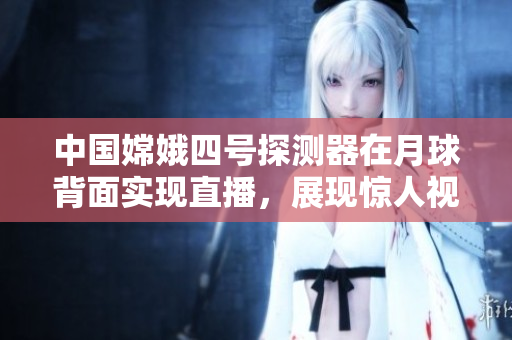 中國嫦娥四號探測器在月球背面實(shí)現(xiàn)直播，展現(xiàn)驚人視野