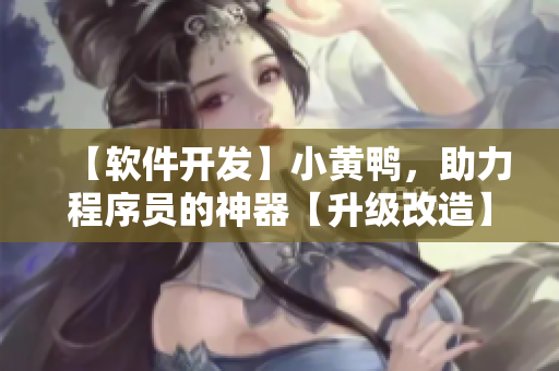 【軟件開發(fā)】小黃鴨，助力程序員的神器【升級改造】