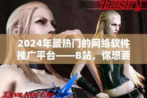 2024年最熱門的網(wǎng)絡(luò)軟件推廣平臺(tái)——B站，你想要了解的都在這里！