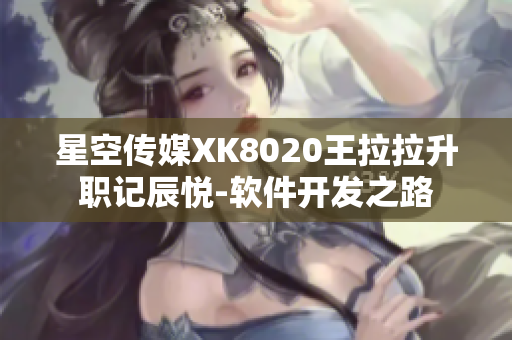 星空傳媒XK8020王拉拉升職記辰悅-軟件開(kāi)發(fā)之路