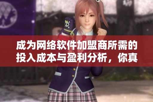 成為網(wǎng)絡(luò)軟件加盟商所需的投入成本與盈利分析，你真的了解嗎？