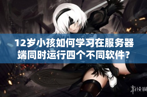 12歲小孩如何學(xué)習(xí)在服務(wù)器端同時(shí)運(yùn)行四個(gè)不同軟件？