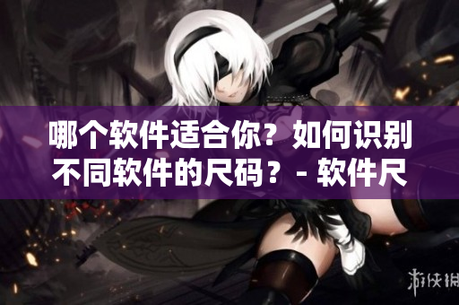 哪個軟件適合你？如何識別不同軟件的尺碼？- 軟件尺碼比較指南