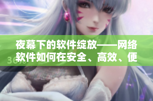 夜幕下的軟件綻放——網(wǎng)絡(luò)軟件如何在安全、高效、便捷中展現(xiàn)其重要價值