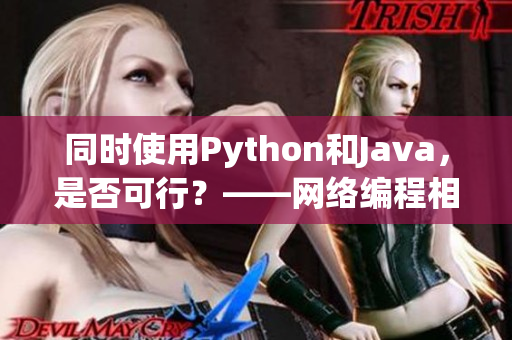 同時使用Python和Java，是否可行？——網絡編程相關問題探討