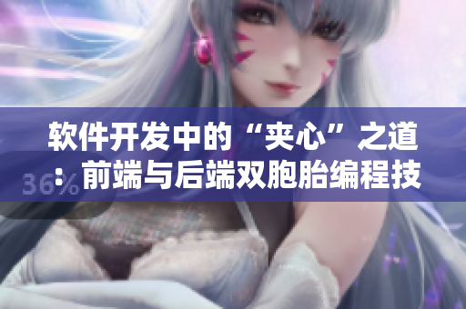 軟件開(kāi)發(fā)中的“夾心”之道：前端與后端雙胞胎編程技術(shù)