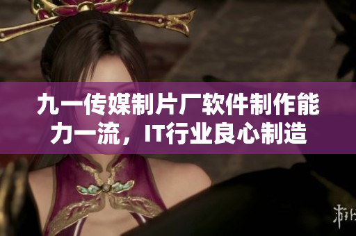 九一傳媒制片廠軟件制作能力一流，IT行業(yè)良心制造