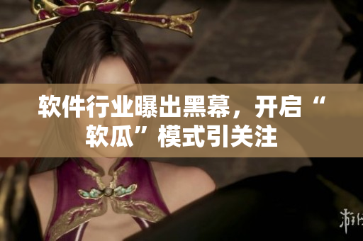 軟件行業(yè)曝出黑幕，開啟“軟瓜”模式引關(guān)注