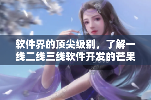 軟件界的頂尖級(jí)別，了解一線二線三線軟件開發(fā)的芒果指南