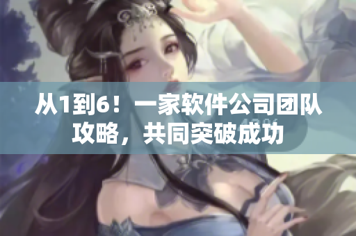 從1到6！一家軟件公司團(tuán)隊(duì)攻略，共同突破成功